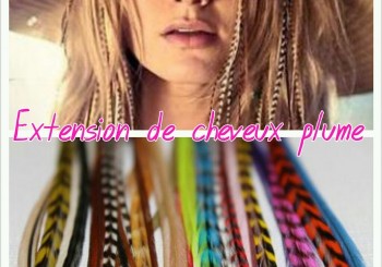 Extensions de cheveux « plume »